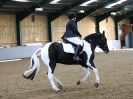 Image 136 in BBRC. DRESSAGE. 5 NOV. 2017