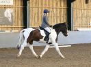 Image 140 in BBRC. DRESSAGE. 5 NOV. 2017