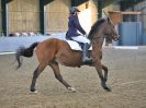 Image 144 in BBRC. DRESSAGE. 5 NOV. 2017