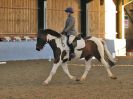 Image 154 in BBRC. DRESSAGE. 5 NOV. 2017