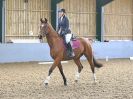 Image 171 in BBRC. DRESSAGE. 5 NOV. 2017