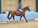 Image 172 in BBRC. DRESSAGE. 5 NOV. 2017