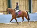 Image 175 in BBRC. DRESSAGE. 5 NOV. 2017