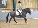 Image 187 in BBRC. DRESSAGE. 5 NOV. 2017