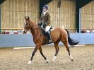 Image 35 in BBRC. DRESSAGE. 5 NOV. 2017