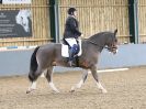 Image 66 in BBRC. DRESSAGE. 5 NOV. 2017