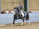 Image 95 in BBRC. DRESSAGE. 5 NOV. 2017