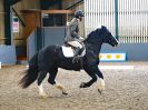 Image 96 in BBRC. DRESSAGE. 5 NOV. 2017