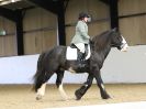 Image 12 in HALESWORTH AND DISTRICT RC. DRESSAGE. 11 NOV. 2017