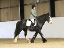 Image 13 in HALESWORTH AND DISTRICT RC. DRESSAGE. 11 NOV. 2017