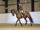 Image 24 in HALESWORTH AND DISTRICT RC. DRESSAGE. 11 NOV. 2017