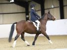 Image 49 in HALESWORTH AND DISTRICT RC. DRESSAGE. 11 NOV. 2017