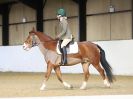 Image 58 in HALESWORTH AND DISTRICT RC. DRESSAGE. 11 NOV. 2017