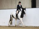 Image 65 in HALESWORTH AND DISTRICT RC. DRESSAGE. 11 NOV. 2017