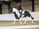 Image 78 in HALESWORTH AND DISTRICT RC. DRESSAGE. 11 NOV. 2017