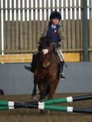 Image 13 in BECCLES & BUNGAY RC. SHOW JUMPING. 12 NOV 2017