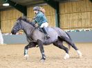 Image 167 in BECCLES & BUNGAY RC. SHOW JUMPING. 12 NOV 2017