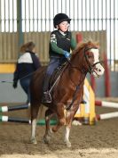 Image 17 in BECCLES & BUNGAY RC. SHOW JUMPING. 12 NOV 2017