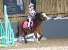 Image 18 in BECCLES & BUNGAY RC. SHOW JUMPING. 12 NOV 2017