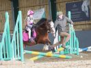 Image 19 in BECCLES & BUNGAY RC. SHOW JUMPING. 12 NOV 2017