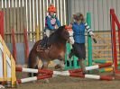Image 2 in BECCLES & BUNGAY RC. SHOW JUMPING. 12 NOV 2017