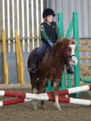 Image 22 in BECCLES & BUNGAY RC. SHOW JUMPING. 12 NOV 2017