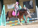 Image 35 in BECCLES & BUNGAY RC. SHOW JUMPING. 12 NOV 2017