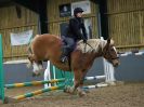 Image 48 in BECCLES & BUNGAY RC. SHOW JUMPING. 12 NOV 2017