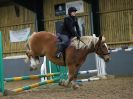 Image 48 in BECCLES & BUNGAY RC. SHOW JUMPING. 12 NOV 2017