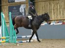 Image 51 in BECCLES & BUNGAY RC. SHOW JUMPING. 12 NOV 2017