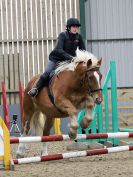 Image 58 in BECCLES & BUNGAY RC. SHOW JUMPING. 12 NOV 2017