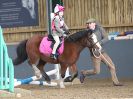 Image 6 in BECCLES & BUNGAY RC. SHOW JUMPING. 12 NOV 2017