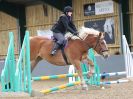 Image 60 in BECCLES & BUNGAY RC. SHOW JUMPING. 12 NOV 2017
