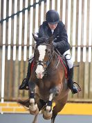 Image 75 in BECCLES & BUNGAY RC. SHOW JUMPING. 12 NOV 2017