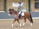 Image 101 in BECCLES AND BUNGAY RC. DRESSAGE  3 DEC 2017.