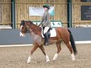 Image 101 in BECCLES AND BUNGAY RC. DRESSAGE 3 DEC 2017.