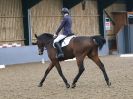 Image 121 in BECCLES AND BUNGAY RC. DRESSAGE 3 DEC 2017.