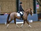 Image 147 in BECCLES AND BUNGAY RC. DRESSAGE  3 DEC 2017.