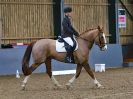 Image 147 in BECCLES AND BUNGAY RC. DRESSAGE 3 DEC 2017.