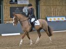 Image 148 in BECCLES AND BUNGAY RC. DRESSAGE  3 DEC 2017.
