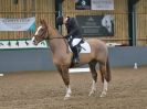 Image 150 in BECCLES AND BUNGAY RC. DRESSAGE  3 DEC 2017.