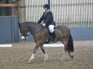 Image 35 in BECCLES AND BUNGAY RC. DRESSAGE  3 DEC 2017.