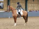 Image 45 in BECCLES AND BUNGAY RC. DRESSAGE  3 DEC 2017.