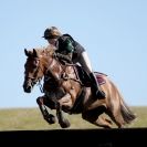 Image 27 in BURNHAM MARKET 2. XC FROM DAY 2
