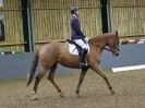 Image 112 in BECCLES AND BUNGAY RC. DRESSAGE 14 JAN. 2018