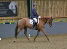 Image 113 in BECCLES AND BUNGAY RC. DRESSAGE 14 JAN. 2018