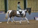 Image 14 in BECCLES AND BUNGAY RC. DRESSAGE 14 JAN. 2018