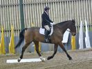 Image 144 in BECCLES AND BUNGAY RC. DRESSAGE 14 JAN. 2018
