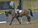 Image 145 in BECCLES AND BUNGAY RC. DRESSAGE 14 JAN. 2018