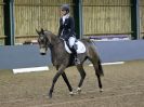 Image 161 in BECCLES AND BUNGAY RC. DRESSAGE 14 JAN. 2018